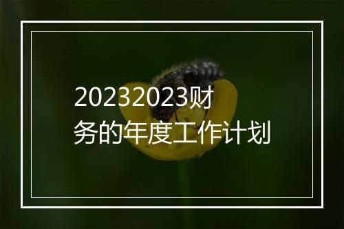 20232023财务的年度工作计划