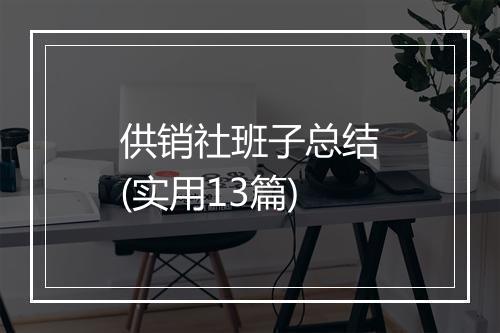 供销社班子总结(实用13篇)