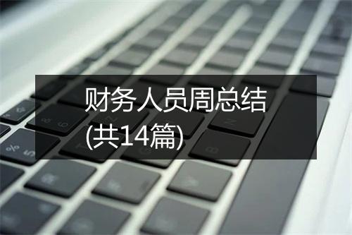 财务人员周总结(共14篇)