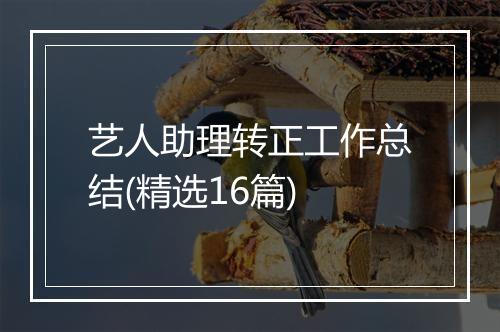 艺人助理转正工作总结(精选16篇)