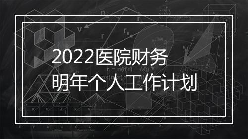 2022医院财务明年个人工作计划