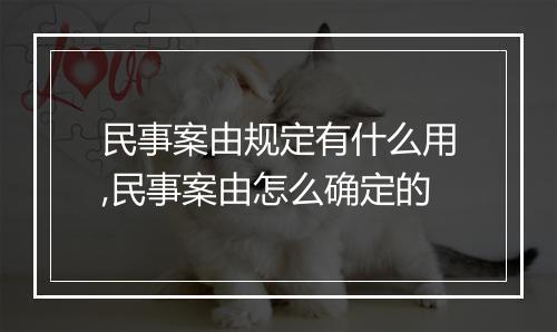 民事案由规定有什么用,民事案由怎么确定的