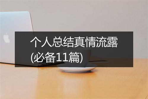 个人总结真情流露(必备11篇)