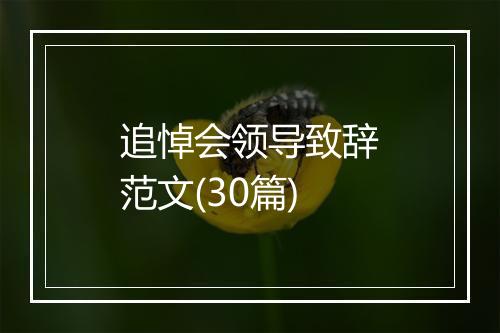 追悼会领导致辞范文(30篇)