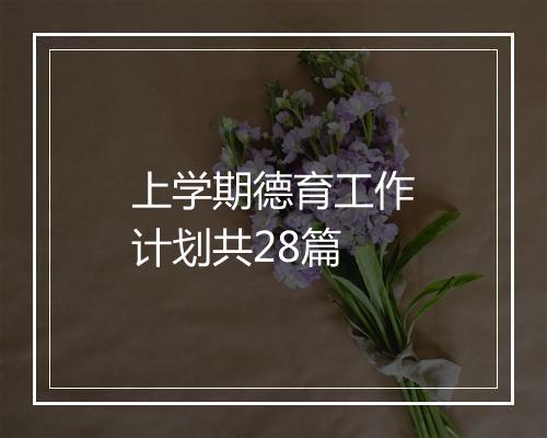 上学期德育工作计划共28篇