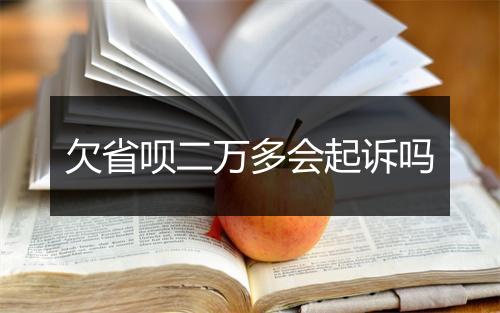 欠省呗二万多会起诉吗