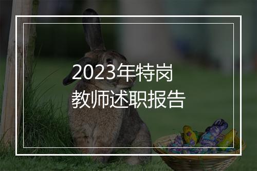 2023年特岗教师述职报告