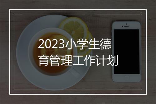 2023小学生德育管理工作计划