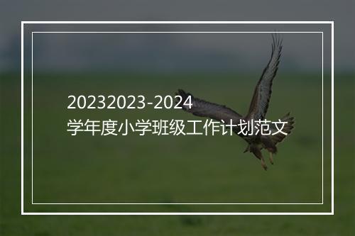20232023-2024学年度小学班级工作计划范文