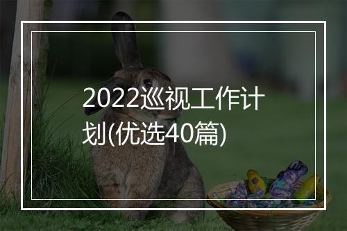 2022巡视工作计划(优选40篇)