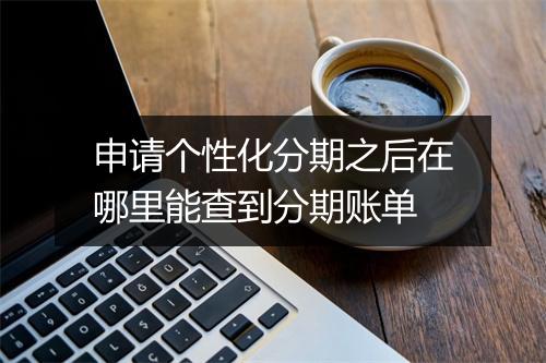 申请个性化分期之后在哪里能查到分期账单