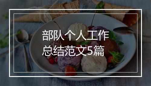 部队个人工作总结范文5篇
