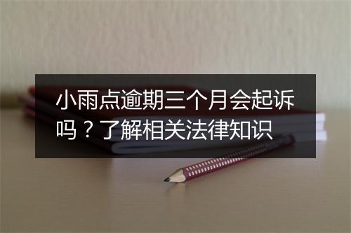 小雨点逾期三个月会起诉吗？了解相关法律知识