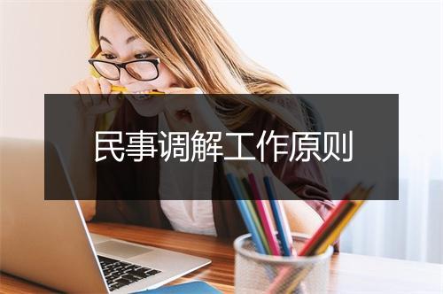民事调解工作原则