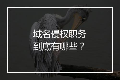 域名侵权职务到底有哪些？