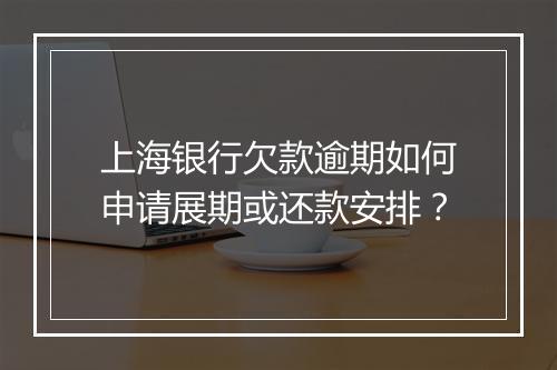 上海银行欠款逾期如何申请展期或还款安排？