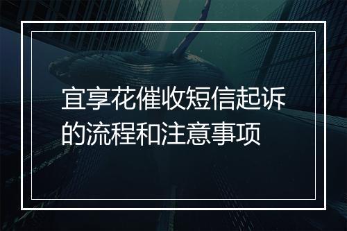 宜享花催收短信起诉的流程和注意事项