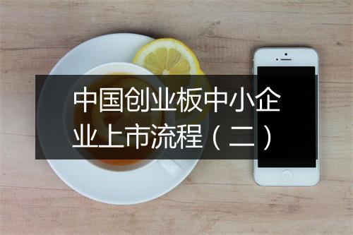 中国创业板中小企业上市流程（二）