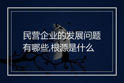 民营企业的发展问题有哪些,根源是什么