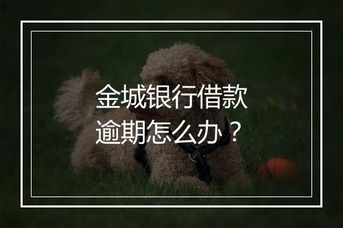 金城银行借款逾期怎么办？