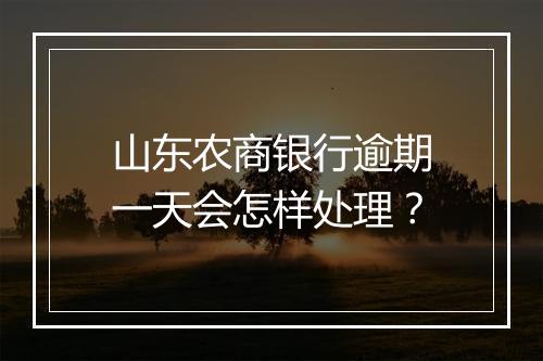 山东农商银行逾期一天会怎样处理？