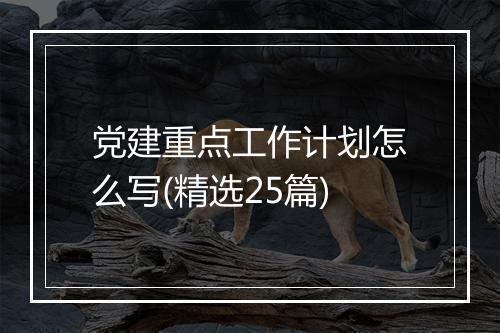 党建重点工作计划怎么写(精选25篇)