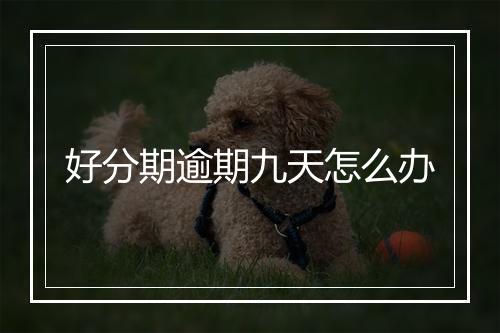 好分期逾期九天怎么办