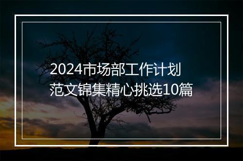 2024市场部工作计划范文锦集精心挑选10篇