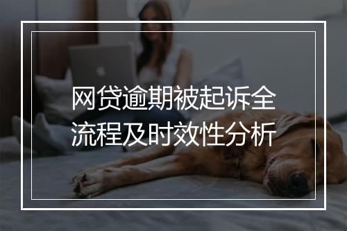 网贷逾期被起诉全流程及时效性分析
