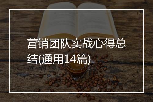 营销团队实战心得总结(通用14篇)