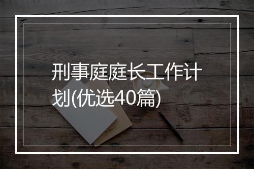 刑事庭庭长工作计划(优选40篇)