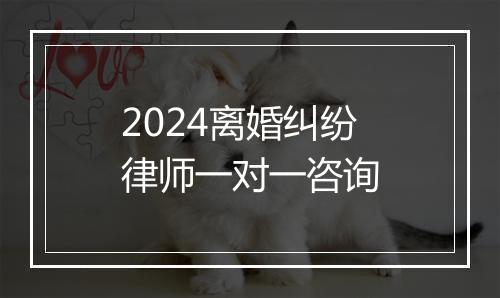 2024离婚纠纷律师一对一咨询