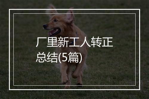 厂里新工人转正总结(5篇)