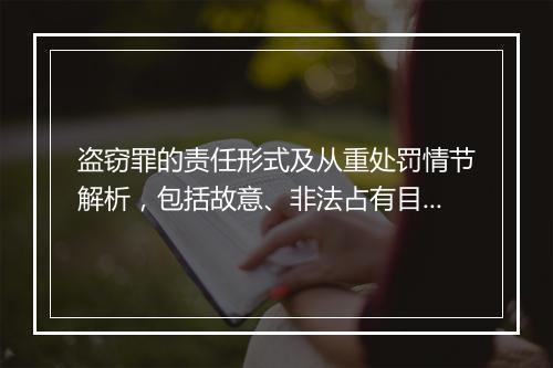 盗窃罪的责任形式及从重处罚情节解析，包括故意、非法占有目的和多种情节