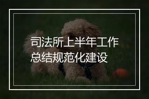 司法所上半年工作总结规范化建设