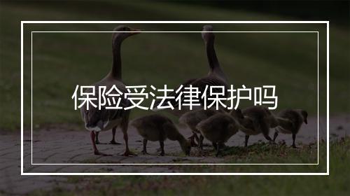 保险受法律保护吗