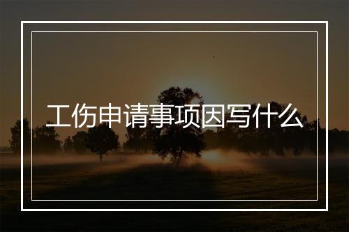 工伤申请事项因写什么