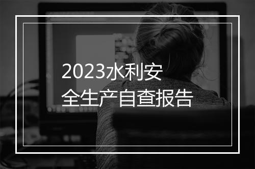 2023水利安全生产自查报告