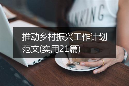 推动乡村振兴工作计划范文(实用21篇)