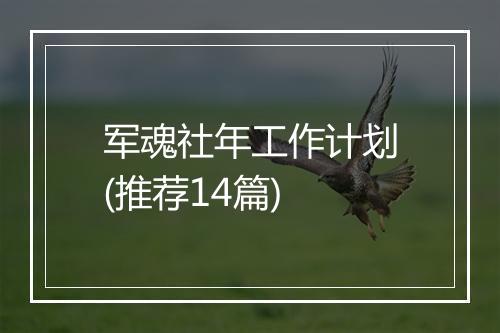 军魂社年工作计划(推荐14篇)