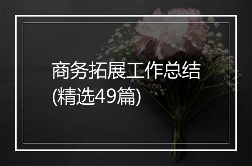 商务拓展工作总结(精选49篇)