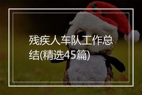 残疾人车队工作总结(精选45篇)