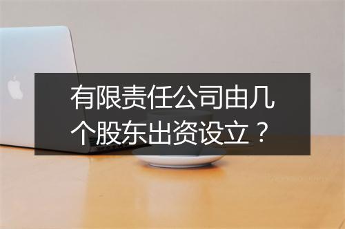 有限责任公司由几个股东出资设立？