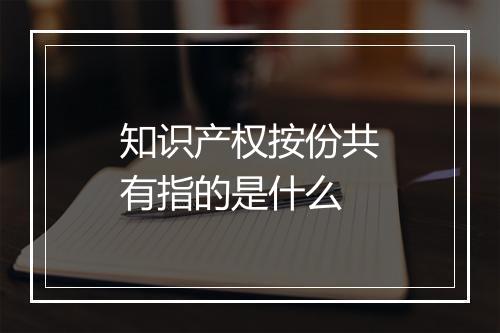 知识产权按份共有指的是什么