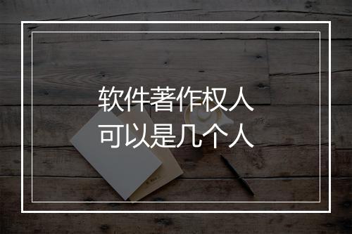 软件著作权人可以是几个人