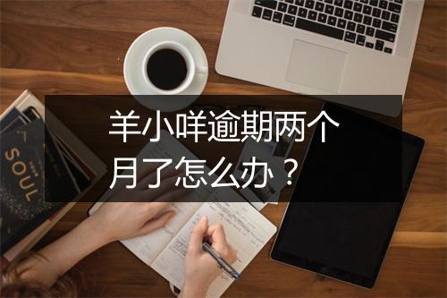羊小咩逾期两个月了怎么办？