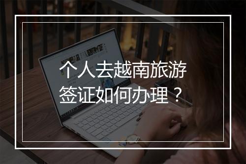 个人去越南旅游签证如何办理？