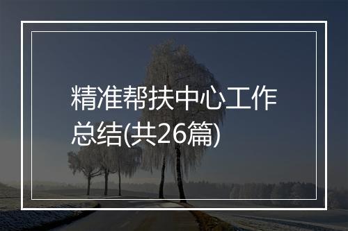 精准帮扶中心工作总结(共26篇)