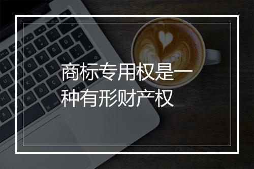 商标专用权是一种有形财产权