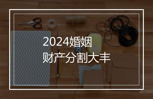 2024婚姻财产分割大丰